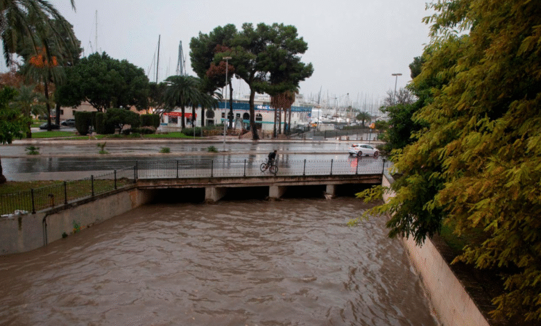Mallorca Unwetter: Was du wissen musst, bevor du planst Mallorca Unwetter
