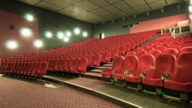 Kino Ulm