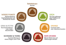 Stuhlgang Grün