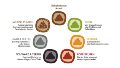 Stuhlgang Grün