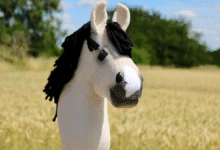 Hobby Horse