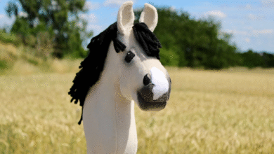 Hobby Horse