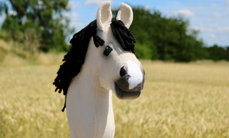 Hobby Horse: Das ungewöhnliche Hobby, das die Welt im Sturm erobert Hobby Horse